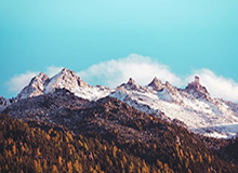 法师：哈兰德太不可思议了！哈兰德：穆科科必成大器