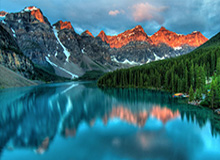 法师：哈兰德太不可思议了！哈兰德：穆科科必成大器